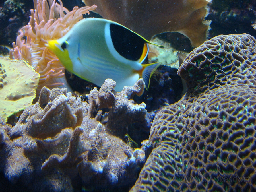 Baltimore [2009 July 02] 252.JPG - Scenes from Baltimore's Inner Harbor.